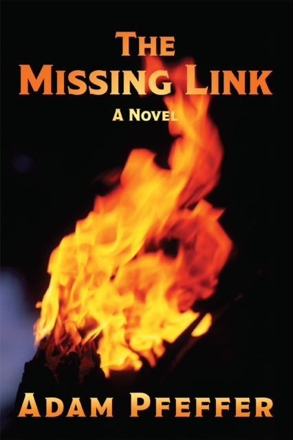 E-könyv Missing Link Adam Pfeffer