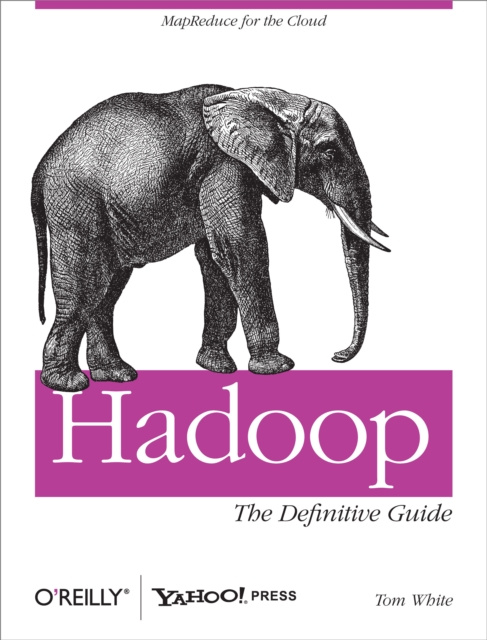 E-kniha Hadoop: The Definitive Guide Tom White