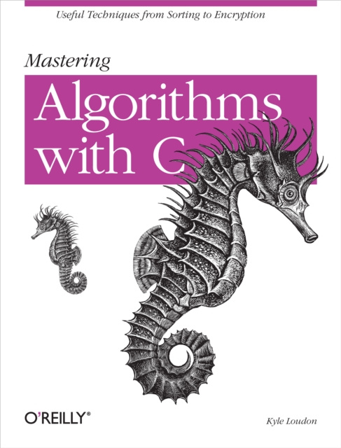 E-book Mastering Algorithms with C Kyle Loudon