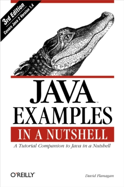 E-book Java Examples in a Nutshell David Flanagan