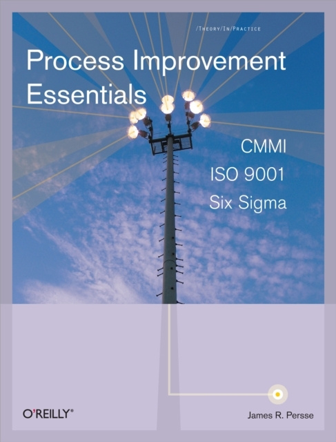 E-knjiga Process Improvement Essentials PhD James R. Persse