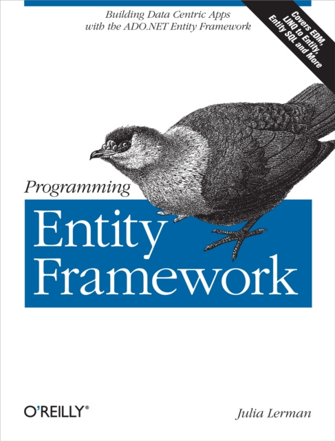 E-knjiga Programming Entity Framework Julia Lerman