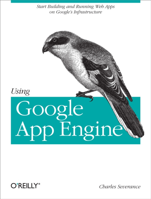 E-knjiga Using Google App Engine Charles Severance