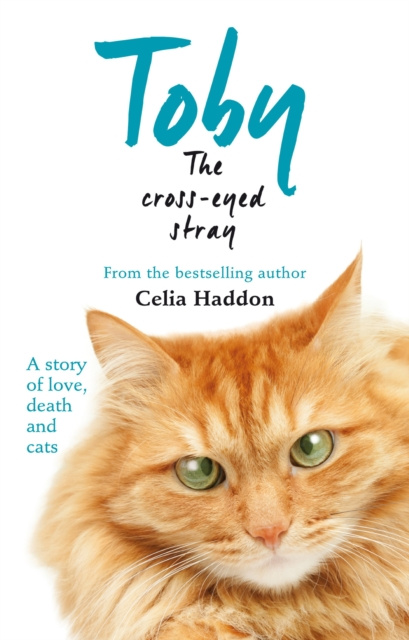 E-book Toby The Cross-Eyed Stray Celia Haddon