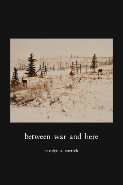 E-knjiga Between War and Here Carolyn A. Surrick