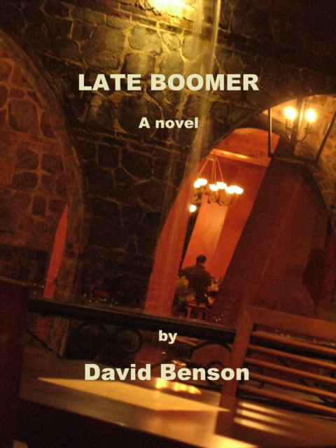 E-book Late Boomer David Benson
