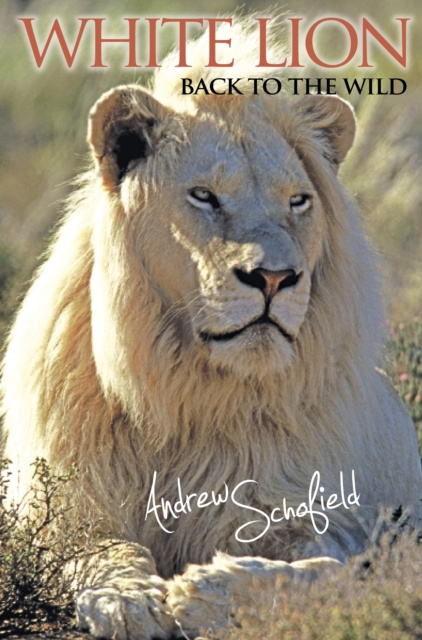E-book White Lion Andrew Schofield