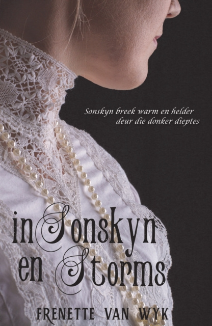 E-knjiga In sonskyn en storms Frenette van Wyk