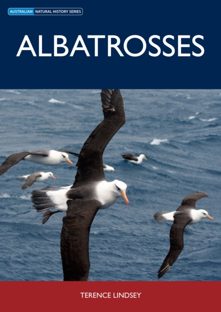 E-book Albatrosses Terence Lindsey