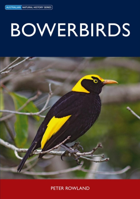 E-knjiga Bowerbirds Peter Rowland