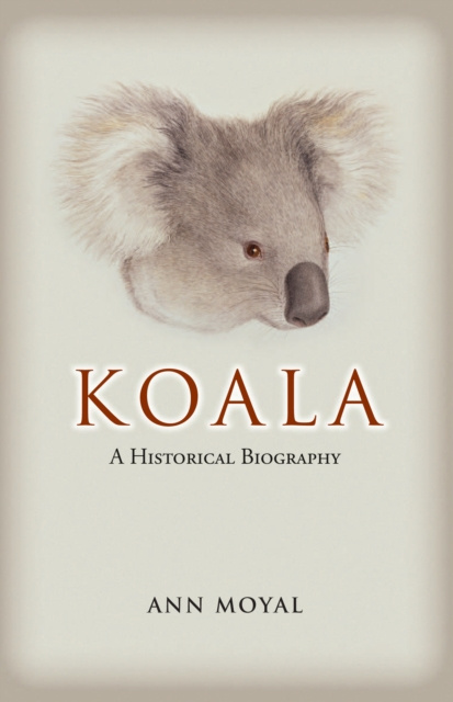 E-knjiga Koala Ann Moyal