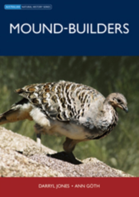 E-knjiga Mound-builders Darryl Jones