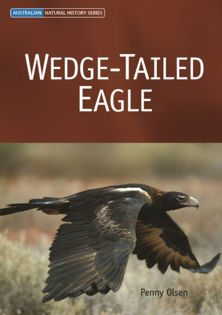 E-knjiga Wedge-tailed Eagle Penny P. Olsen