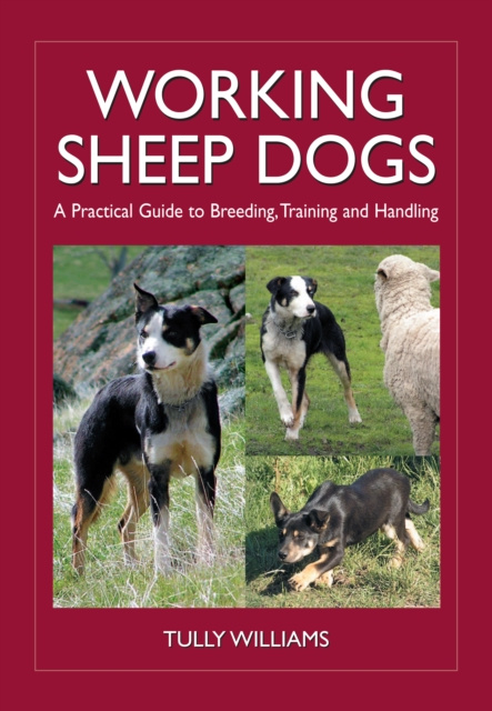 E-book Working Sheep Dogs Tully Williams
