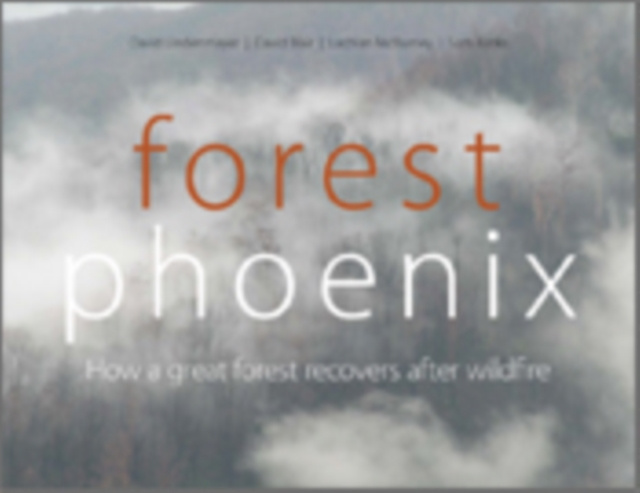 E-book Forest Phoenix David Lindenmayer