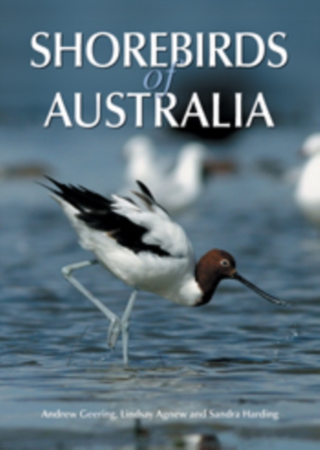 E-kniha Shorebirds of Australia Andrew Geering