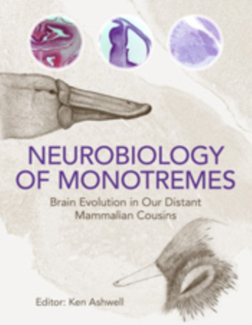 E-kniha Neurobiology of Monotremes Ken Ashwell