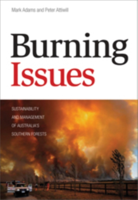 E-knjiga Burning Issues Mark Adams