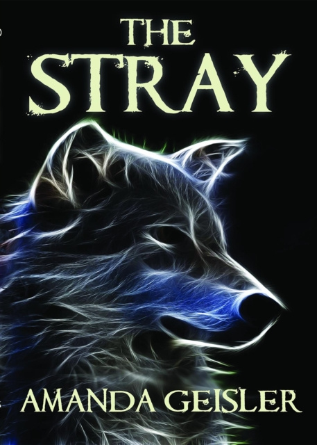 E-knjiga Stray Amanda Geisler
