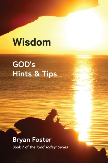 E-knjiga Wisdom Bryan W Foster