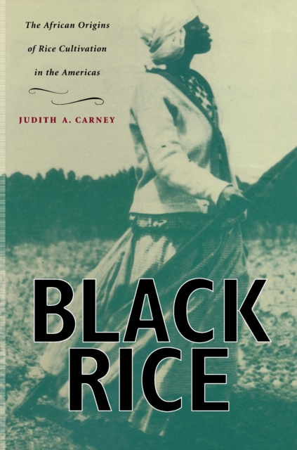 E-knjiga Black Rice Carney Judith A. Carney