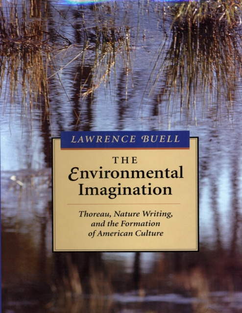 E-knjiga Environmental Imagination Buell Lawrence Buell