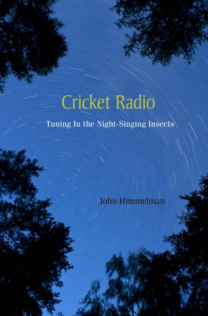 E-book Cricket Radio Himmelman John Himmelman
