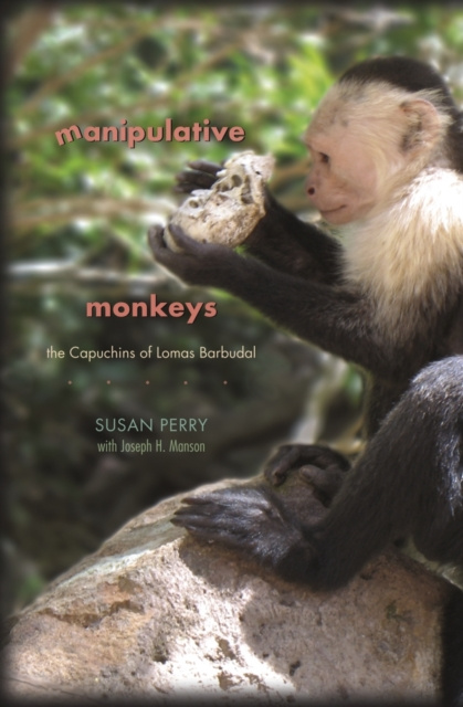 E-book Manipulative Monkeys Perry Susan Perry
