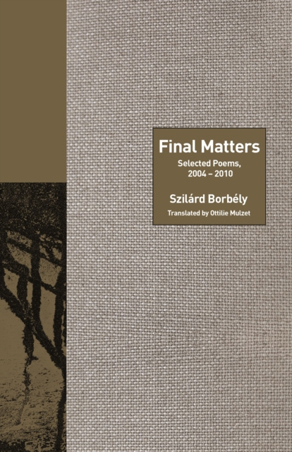 E-book Final Matters Szilard Borbely