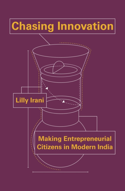 E-book Chasing Innovation Lilly Irani