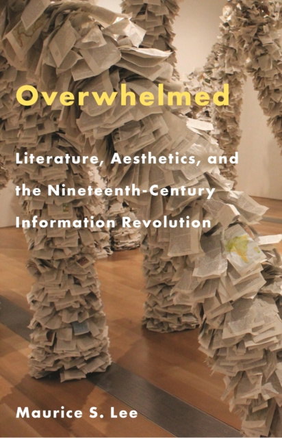 E-knjiga Overwhelmed Maurice S. Lee