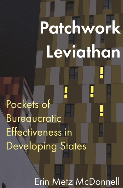E-knjiga Patchwork Leviathan Erin Metz McDonnell