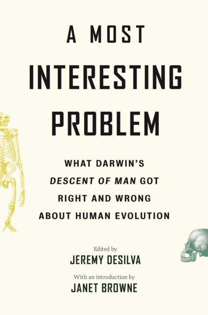 E-kniha Most Interesting Problem Jeremy DeSilva