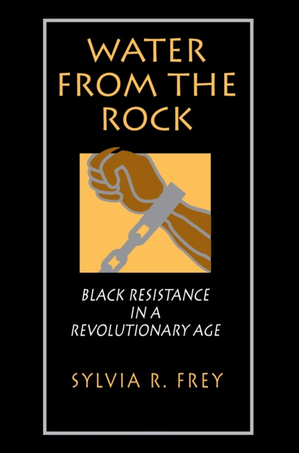E-book Water from the Rock Sylvia R. Frey