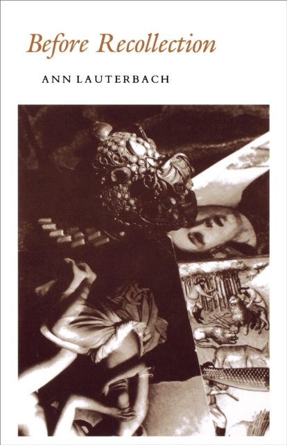 E-book Before Recollection Ann Lauterbach
