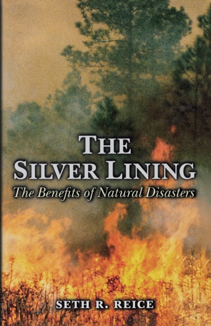 E-knjiga Silver Lining Seth R. Reice