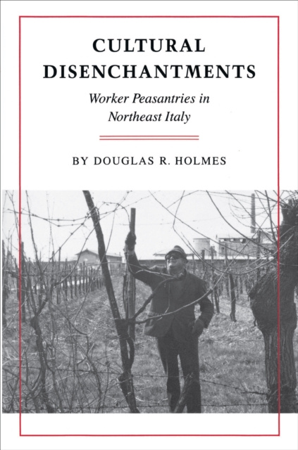 E-knjiga Cultural Disenchantments Douglas R. Holmes