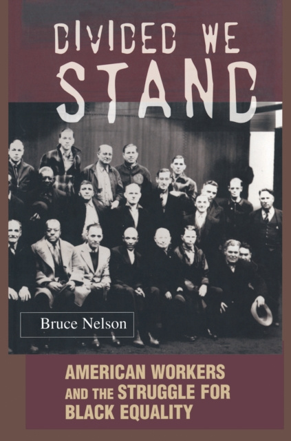 E-book Divided We Stand Bruce Nelson