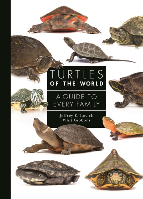 E-kniha Turtles of the World Jeffrey E. Lovich