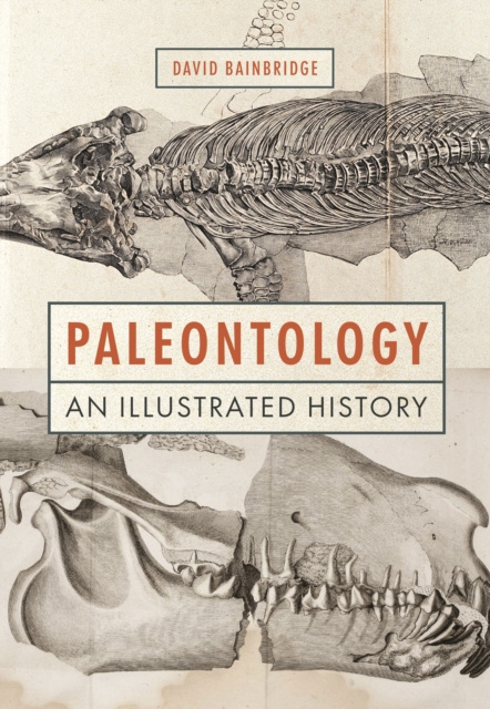 E-kniha Paleontology David Bainbridge