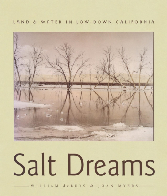 ebook Salt Dreams William deBuys