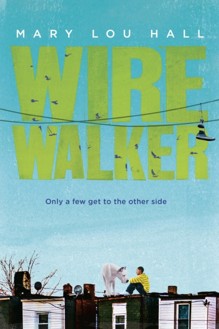 E-knjiga Wirewalker Mary Hall