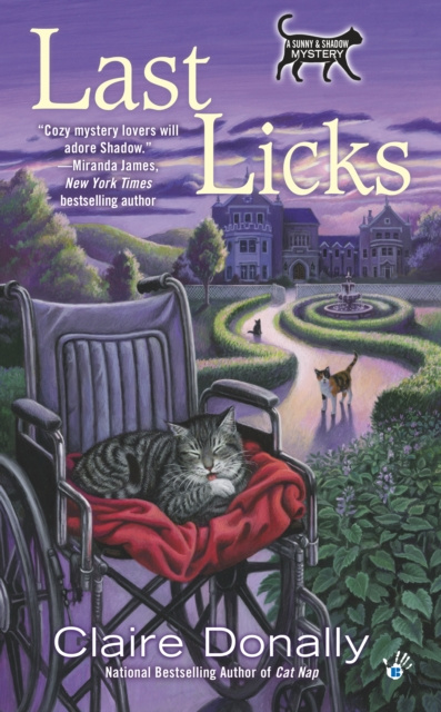 E-kniha Last Licks Claire Donally