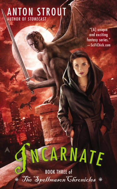 E-book Incarnate Anton Strout