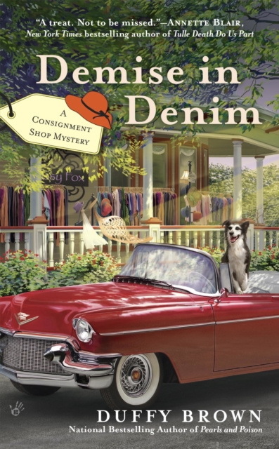 E-knjiga Demise in Denim Duffy Brown
