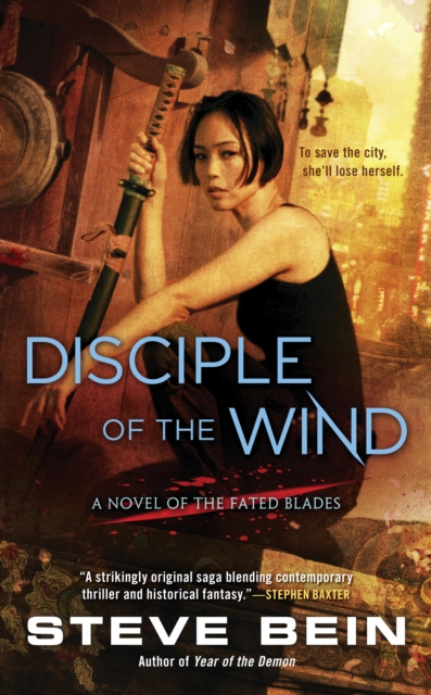 E-book Disciple of the Wind Steve Bein