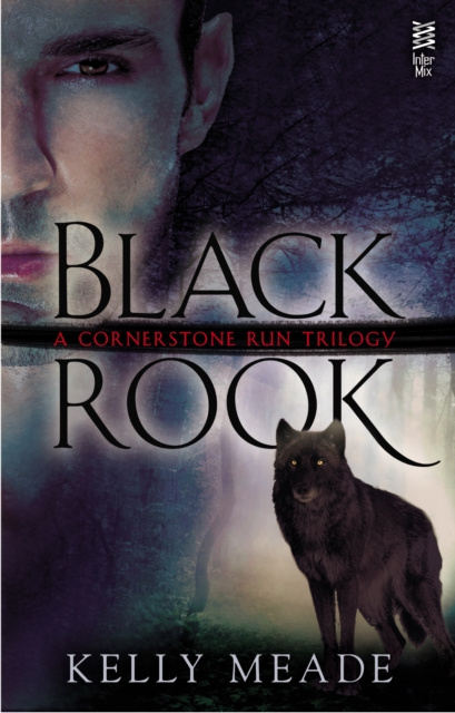 E-book Black Rook Kelly Meade