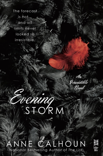 E-book Evening Storm Anne Calhoun