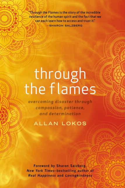 E-book Through the Flames Allan Lokos