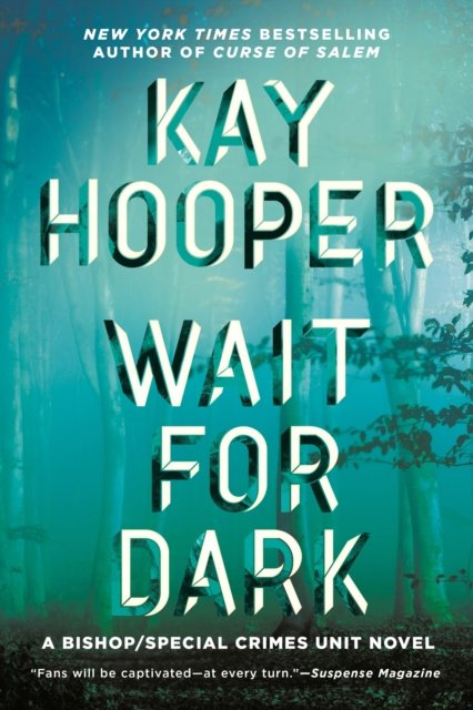E-knjiga Wait for Dark Kay Hooper